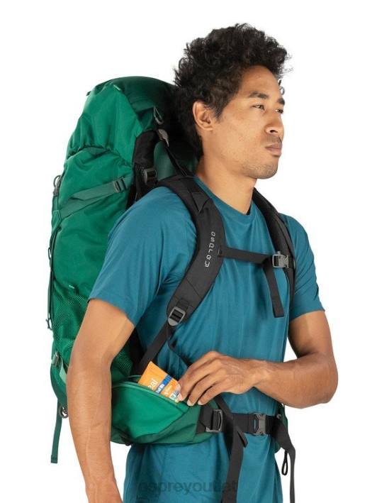 Osprey ROOK 65 BACKPACKING Backpack Men MALLARD GREEN PTFP99