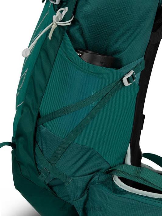 Osprey TEMPEST 30 DAY HIKING Backpack Women JASPER GREEN PTFP347